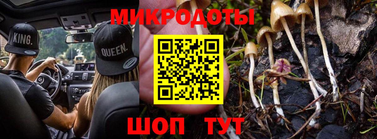 Минеральные Воды  Галлюциногенные грибы прущие грибы  где найти наркотики  Вход с VPN 