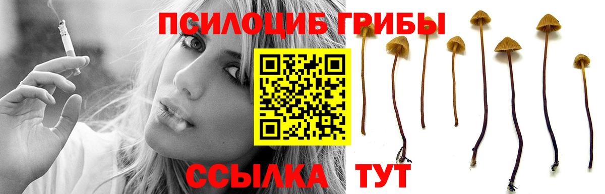 Псилоцибиновые грибы GOLDEN TEACHER Минеральные Воды